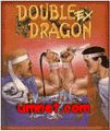 game pic for double dragon K700